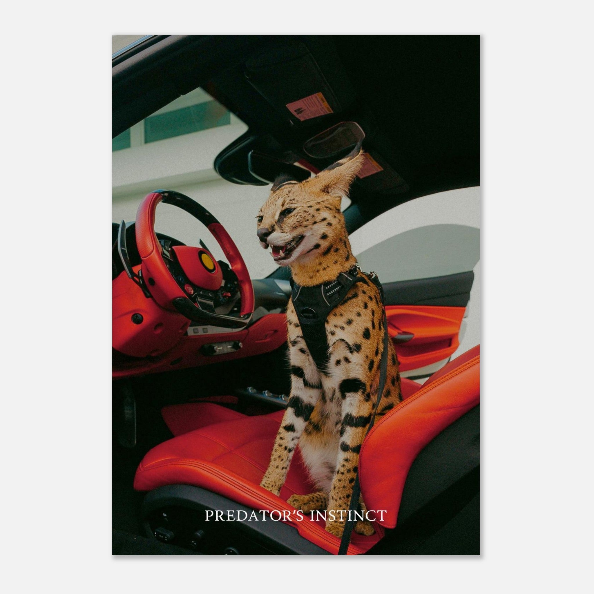 Predators Instinct Product Image